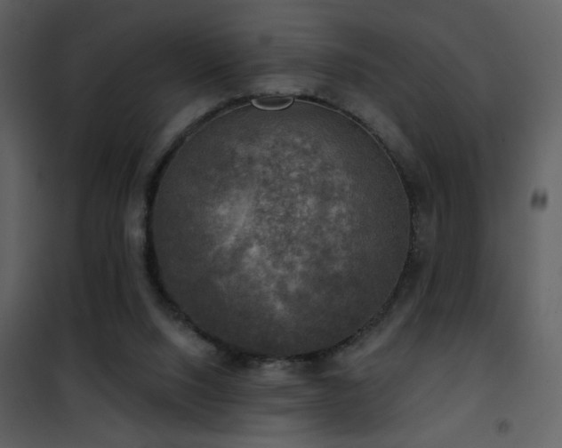 X0000101970064200807181115