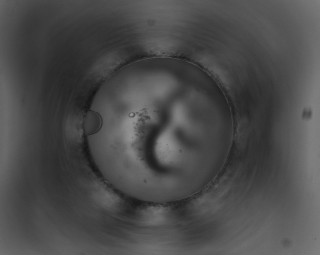 X0000101970065200807181115