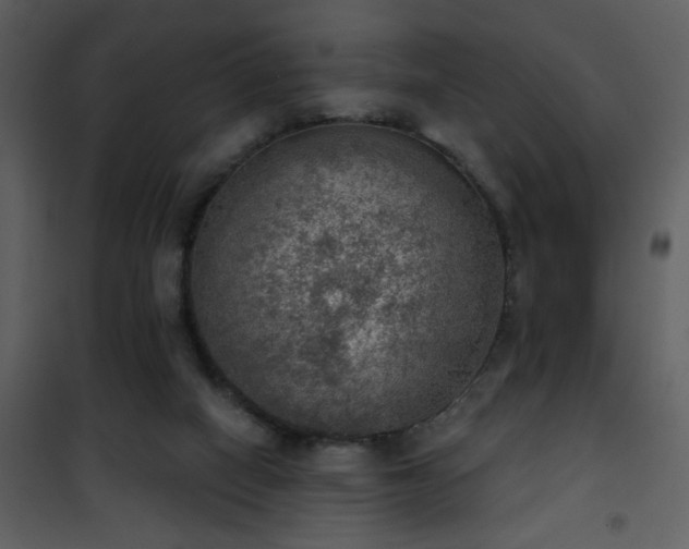 X0000101970066200807181115