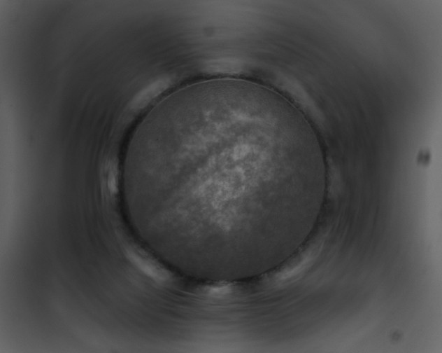 X0000101970068200807181115