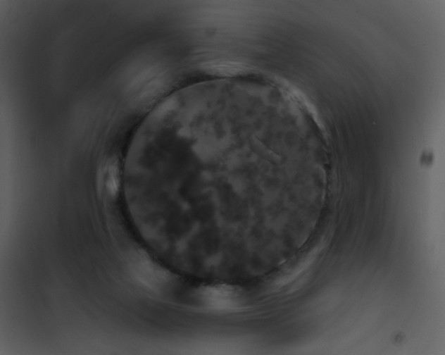 X0000101970069200807181115