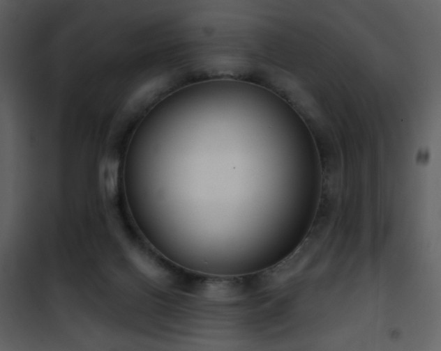 X0000101970070200807181115