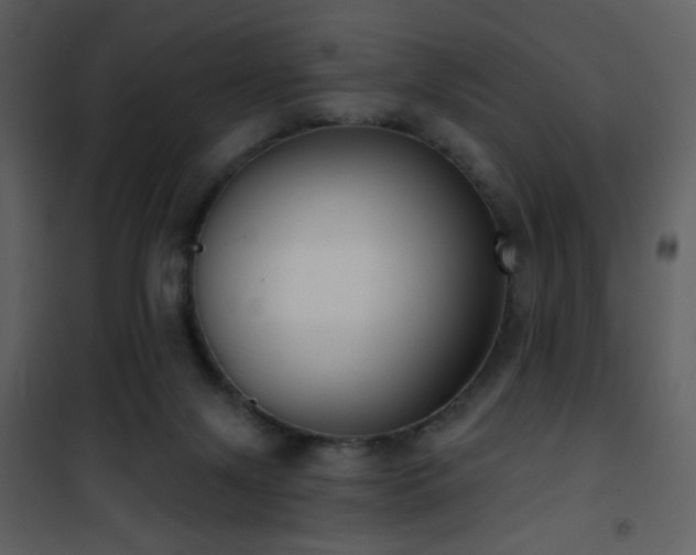 X0000101970071200807181115