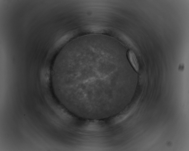 X0000101970072200807181115