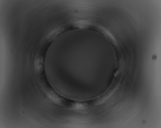 X0000101970073200807181115