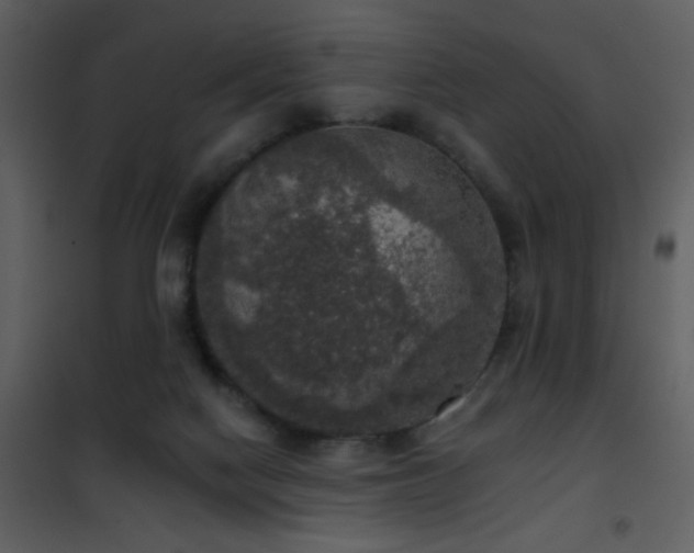 X0000101970074200807181115
