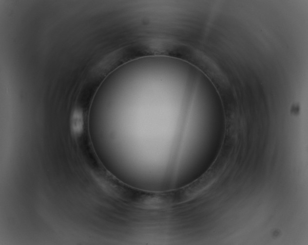 X0000101970075200807181115