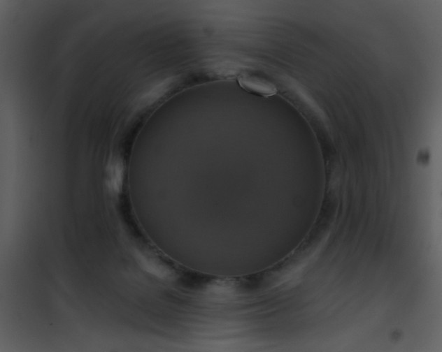 X0000101970076200807181115