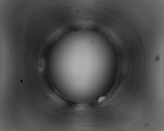 X0000101970077200807181115