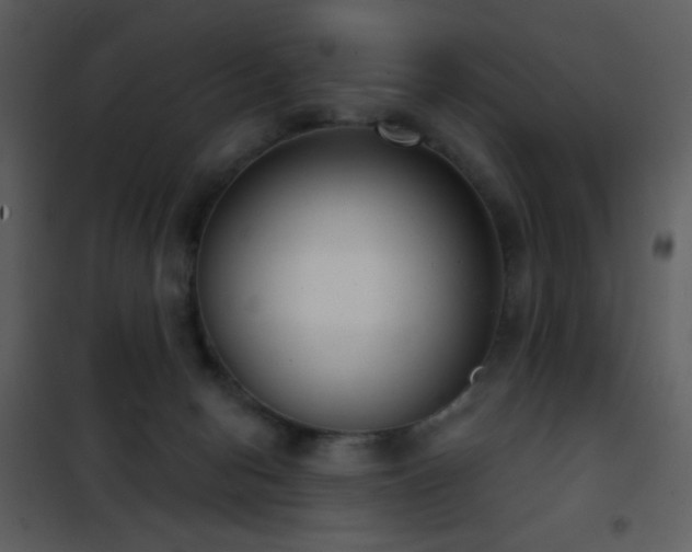 X0000101970078200807181115