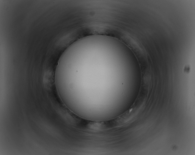 X0000101970079200807181115