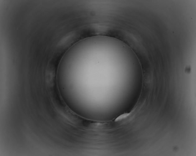 X0000101970082200807181115