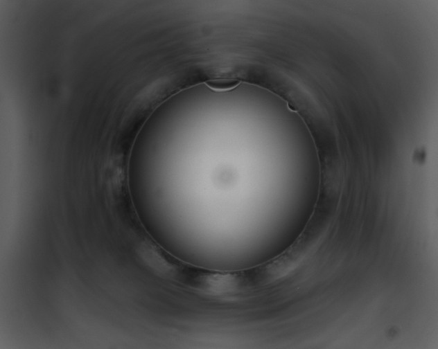 X0000101970085200807181116