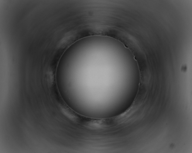 X0000101970086200807181116