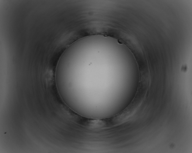 X0000101970087200807181116
