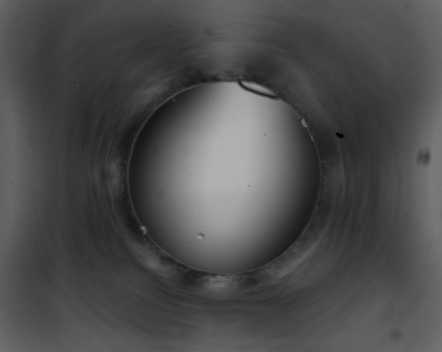 X0000101970088200807181116