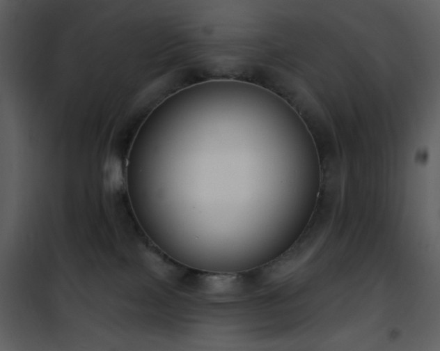 X0000101970089200807181116