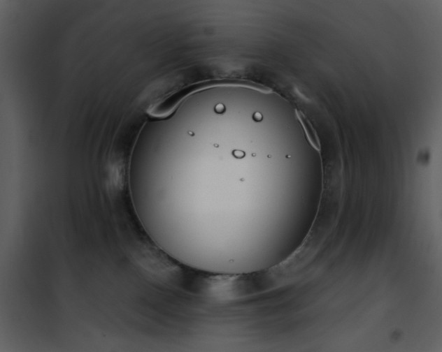 X0000101970090200807181116