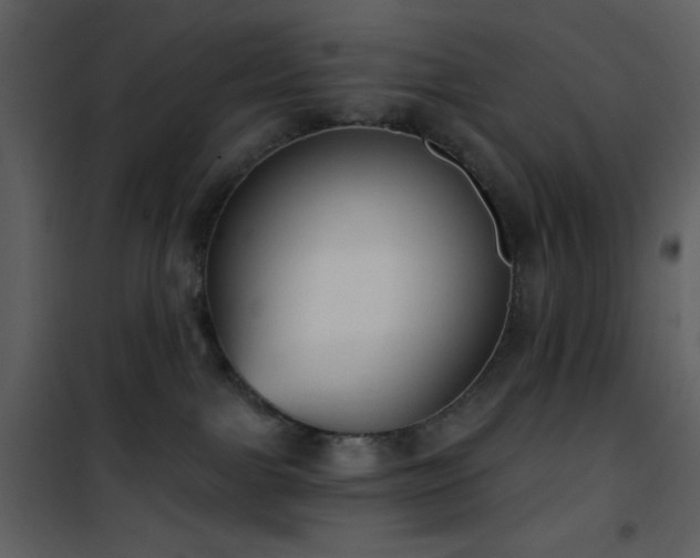 X0000101970091200807181116