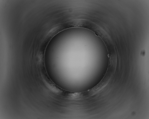 X0000101970092200807181116