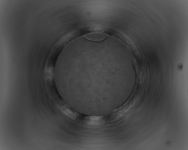 X0000101970093200807181116