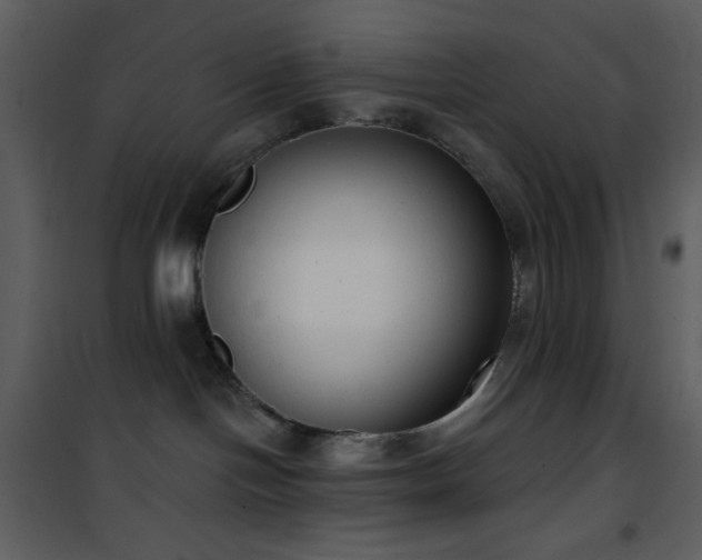 X0000101970094200807181116