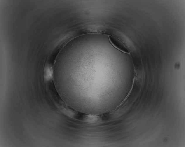 X0000101970095200807181116