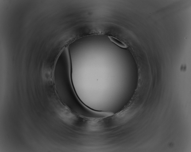 X0000101970096200807181116