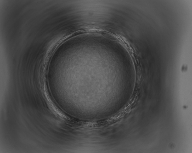 X0000101970097200807181115