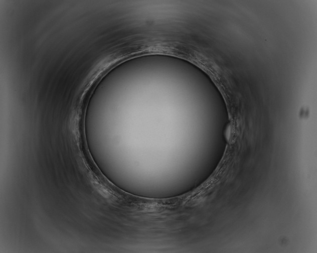X0000101970098200807181115