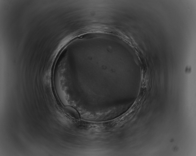 X0000101970099200807181115