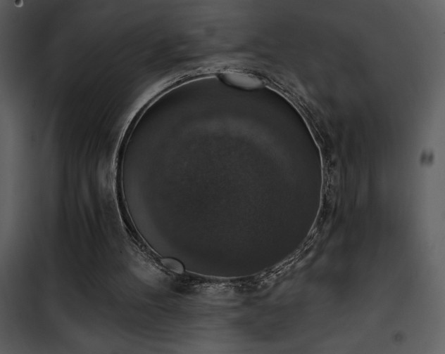 X0000101970100200807181115