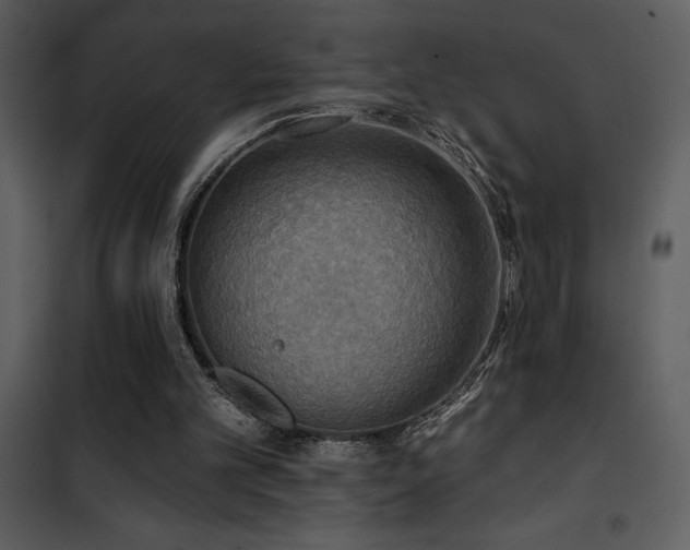 X0000101970101200807181115