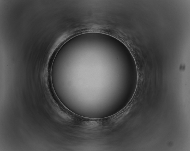 X0000101970102200807181115