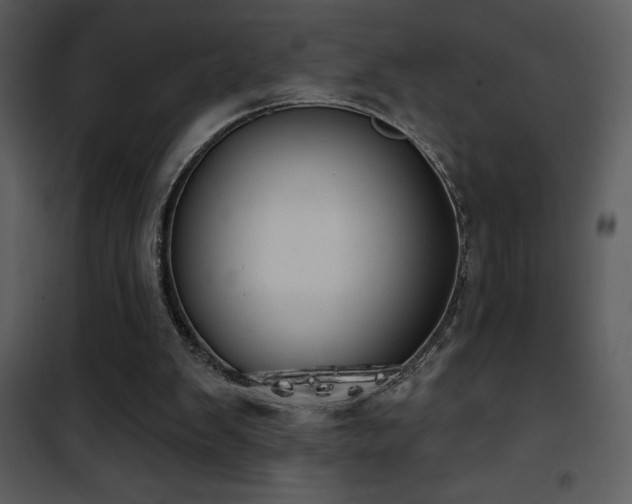 X0000101970103200807181115