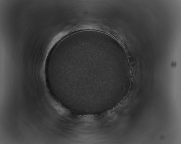 X0000101970104200807181115