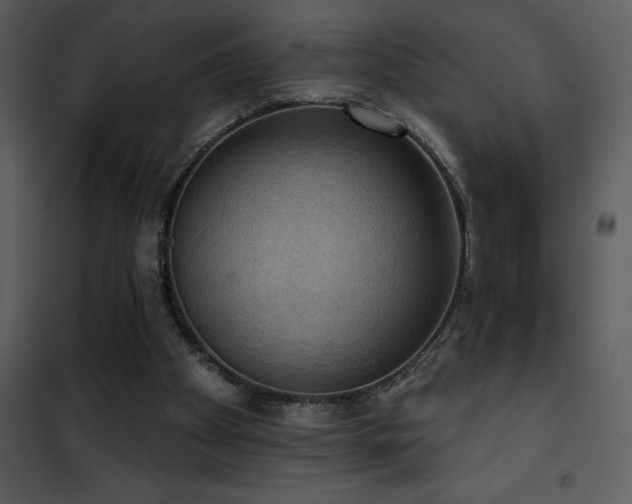X0000101970105200807181115