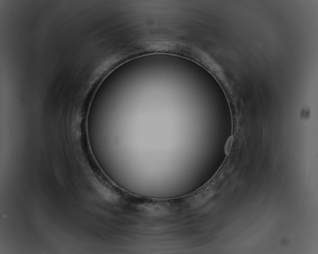 X0000101970106200807181115