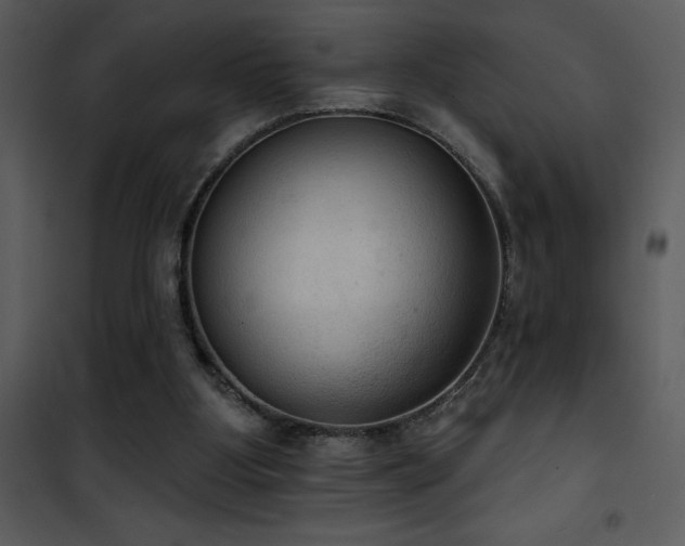 X0000101970107200807181115