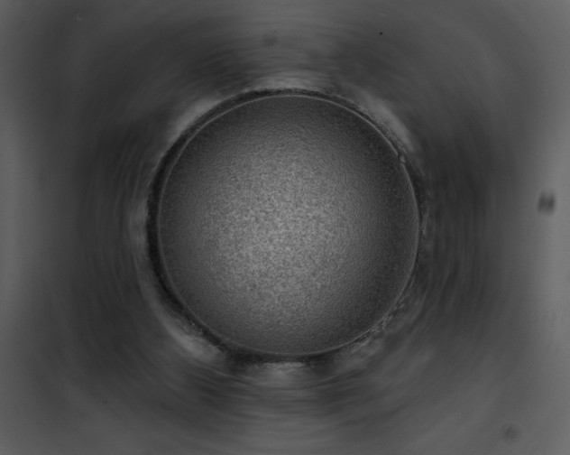 X0000101970108200807181115