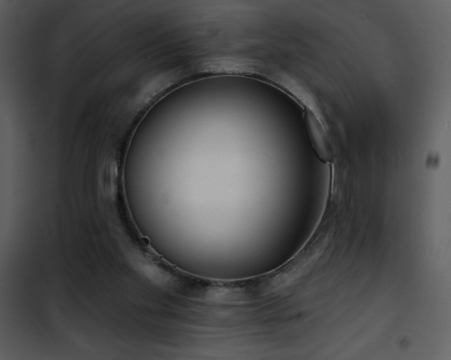 X0000101970109200807181115