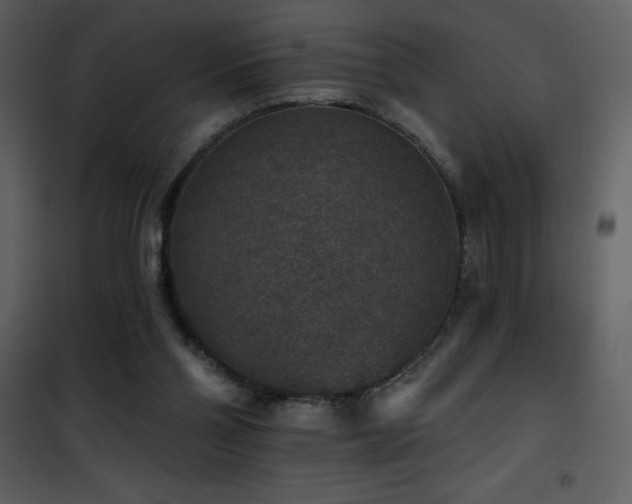 X0000101970110200807181115