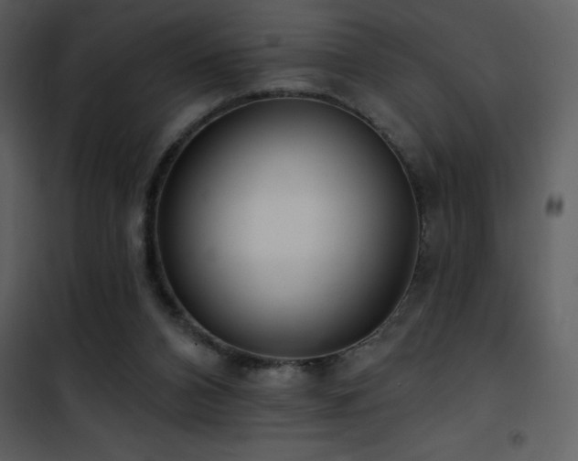 X0000101970112200807181115