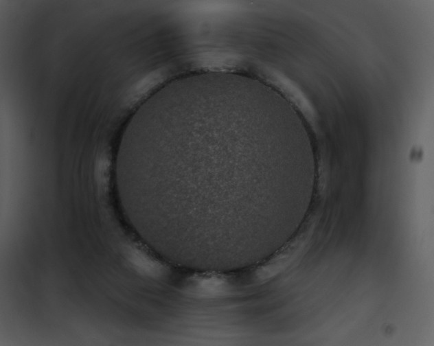 X0000101970113200807181115