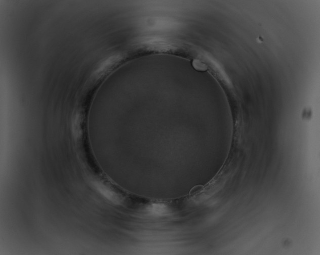 X0000101970114200807181115