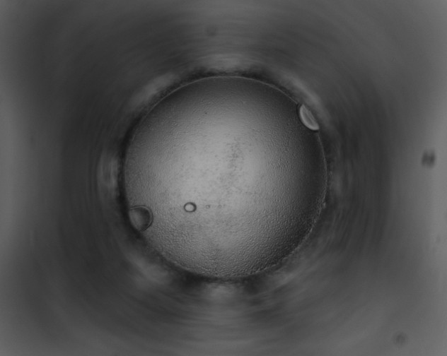 X0000101970115200807181115