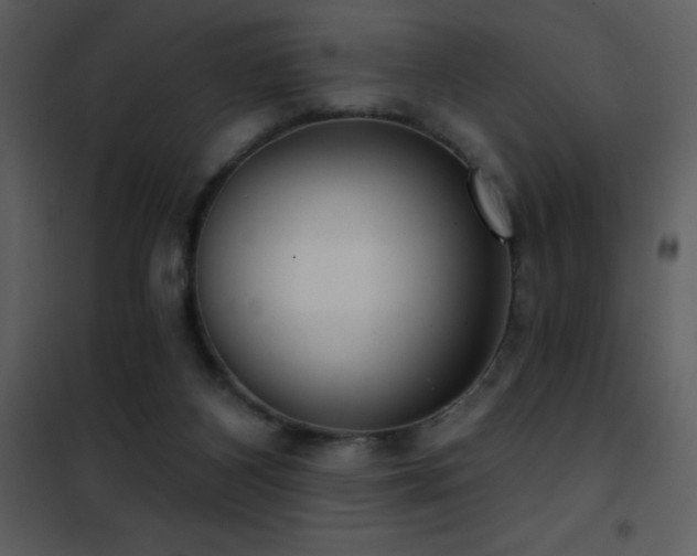 X0000101970116200807181115