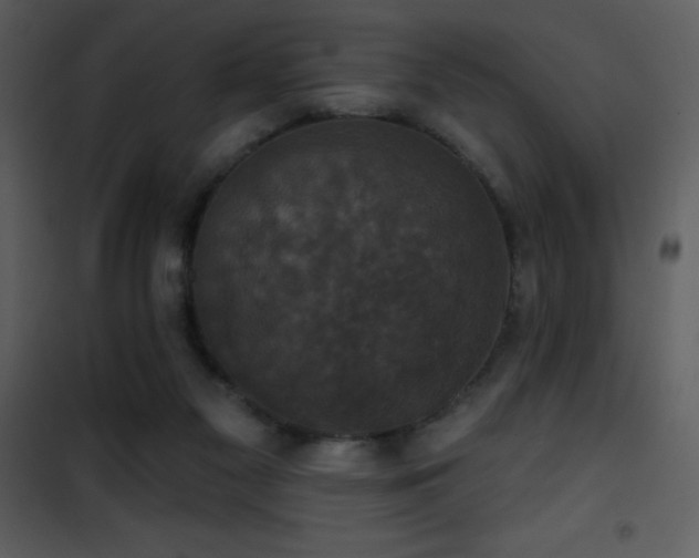 X0000101970117200807181115