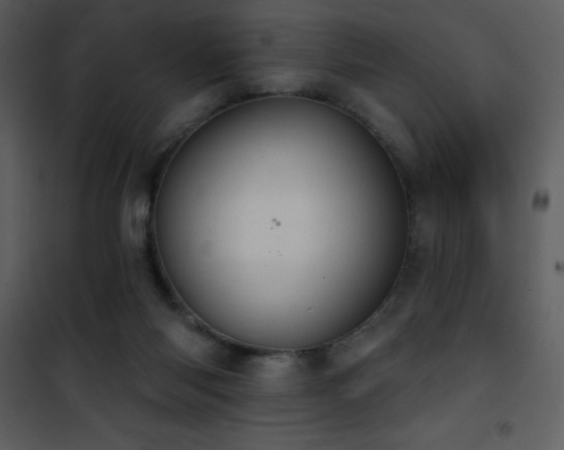 X0000101970118200807181115