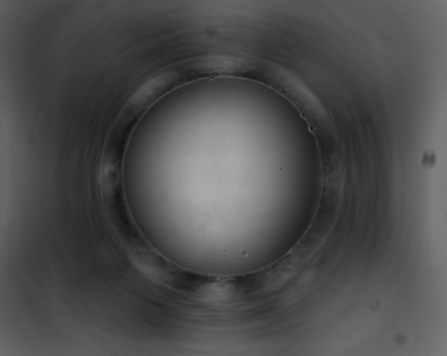 X0000101970119200807181115
